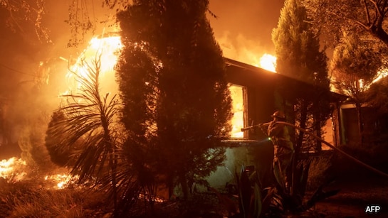 Europe Wildfire Emissions At 23-year High: Monitor