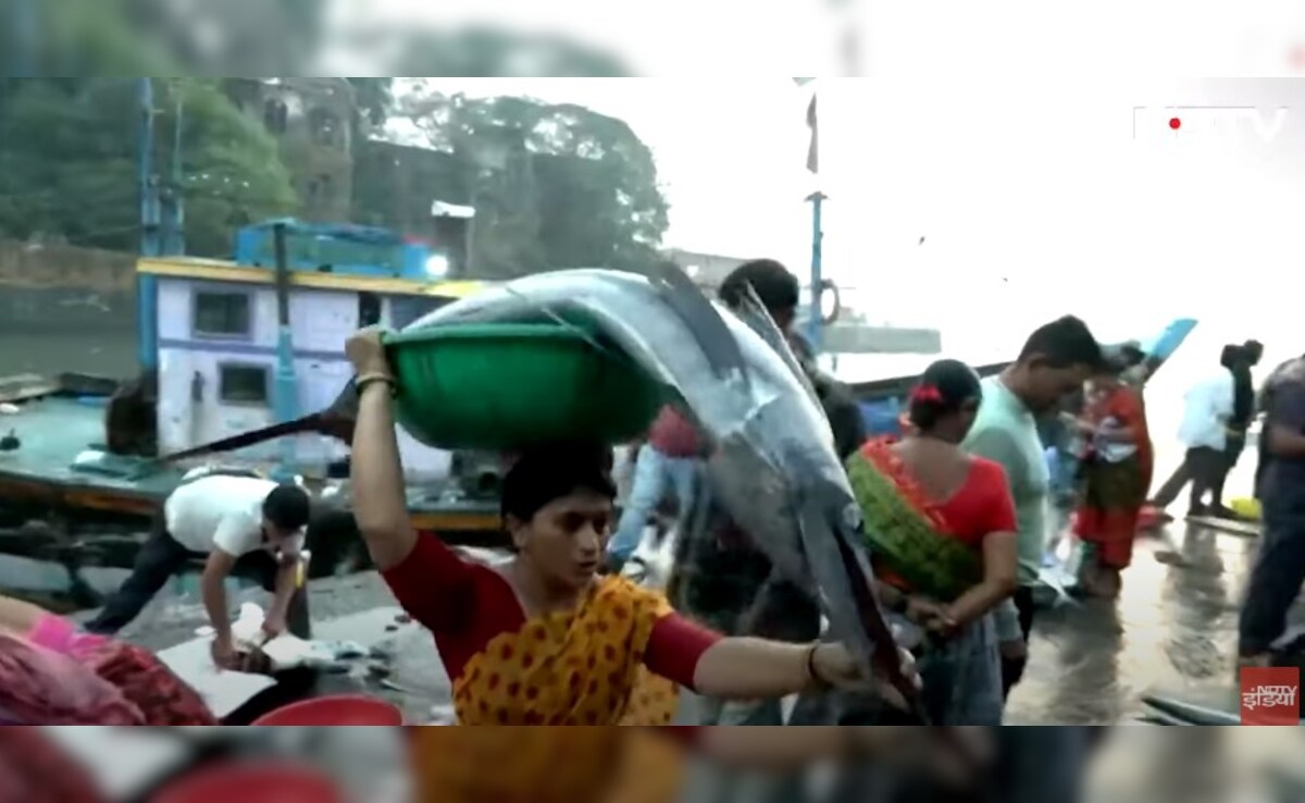 Latest and Breaking News on NDTV Latest and Breaking News on NDTV