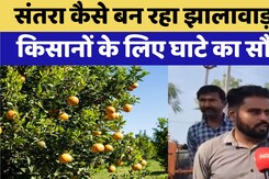 Jhalawar के Farmer Orange से क्यों बना रहे दूरी?