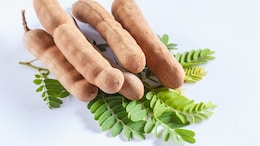 How Can Tamarind Or Imli Aid Digestion? 6 Health Benefits Explained