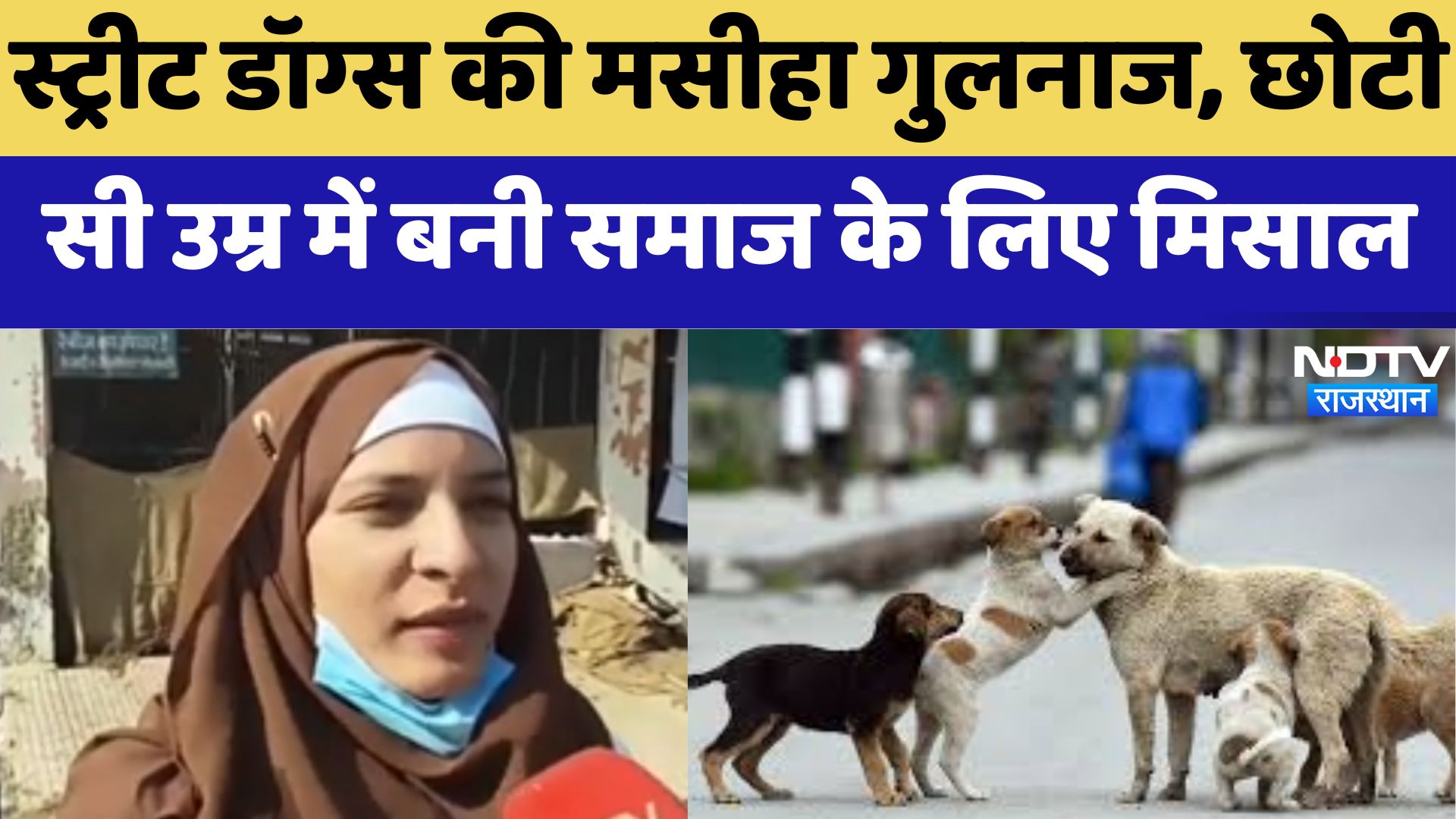 Bikaner News : Street Dogs की मसीहा Gulnaaz , छोटी सी उम्र में बनी समाज के लिए मिसाल