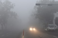 Dense Fog Disrupts Flights in North India; Delhi Operations Resume, Srinagar Still Affected Dense Fog Disrupts Flights in North India; Delhi Operations Resume, Srinagar Still Affected