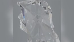 Surat Firm Creates Donald Trump's Carving In Lab-Grown Diamond