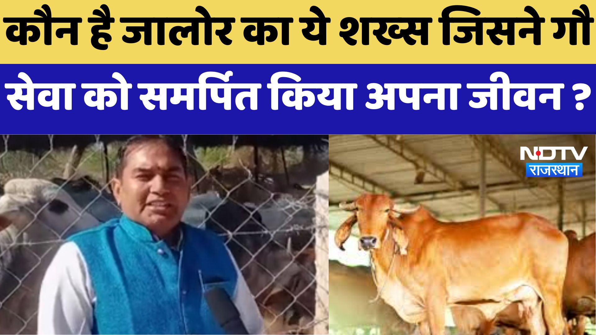 Jalore News : कौन है जालोर का ये शख्स जिसने गौ सेवा को समर्पित किया अपना जीवन ?