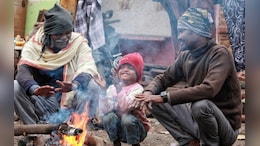 Rajasthan Weather: राजस्थान के फतेहपुर में 3 डिग्री के करीब पहुंचा तापमान, IMD ने जारी किया शीत लहर का अलर्ट&nbsp;