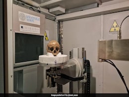 The Truth About Century-Old Skull, Believed To Be Of Cleopatra's Half-Sister The Truth About Century-Old Skull, Believed To Be Of Cleopatra's Half-Sister