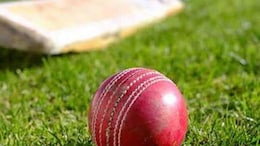 Maharashtra Teen Gets Crushed To Death Under Cricket Pitch Roller At Camp