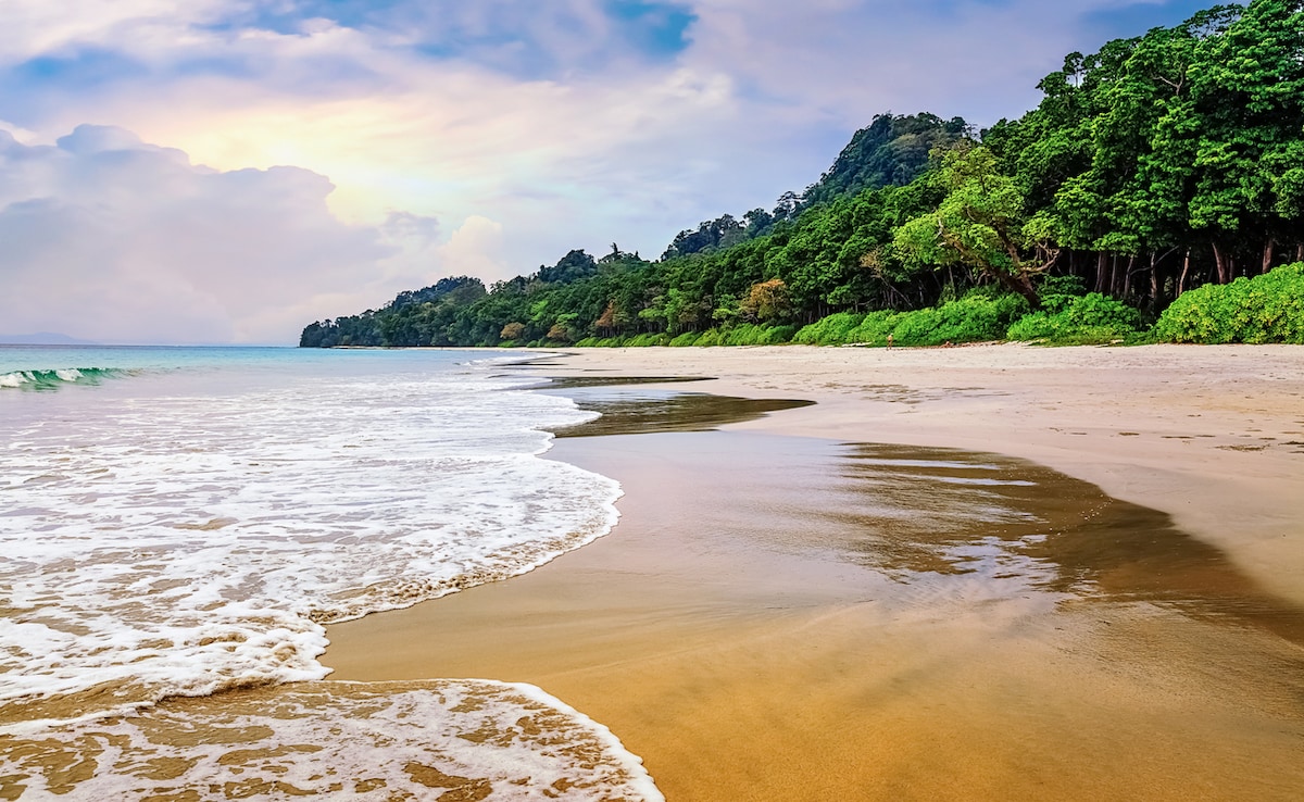 The best spot for scuba diving in India: Havelock. Photo: iStock