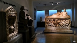 Six Ancient Roman-Era Statues Stolen From National Museum In Syria
