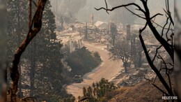 California Governor Slams Elon Musk Over Los Angeles Wildfire "Lies"