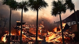 Paris Hilton, Adam Brody Among Stars Who Lost Homes In Los Angeles Fires