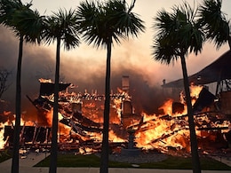 Paris Hilton, Adam Brody Among Stars Who Lost Homes In Los Angeles Fires Paris Hilton, Adam Brody Among Stars Who Lost Homes In Los Angeles Fires