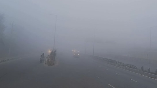 Rajasthan Weather: राजस्थान में कोहरे की सफेद चादर से ढका जयपुर, मावठ के  बाद ठिठुर रहे लोग, जानें कैसा रहेगा आज का मौसम | Rajasthan weather update  fog covered jaipur people ...