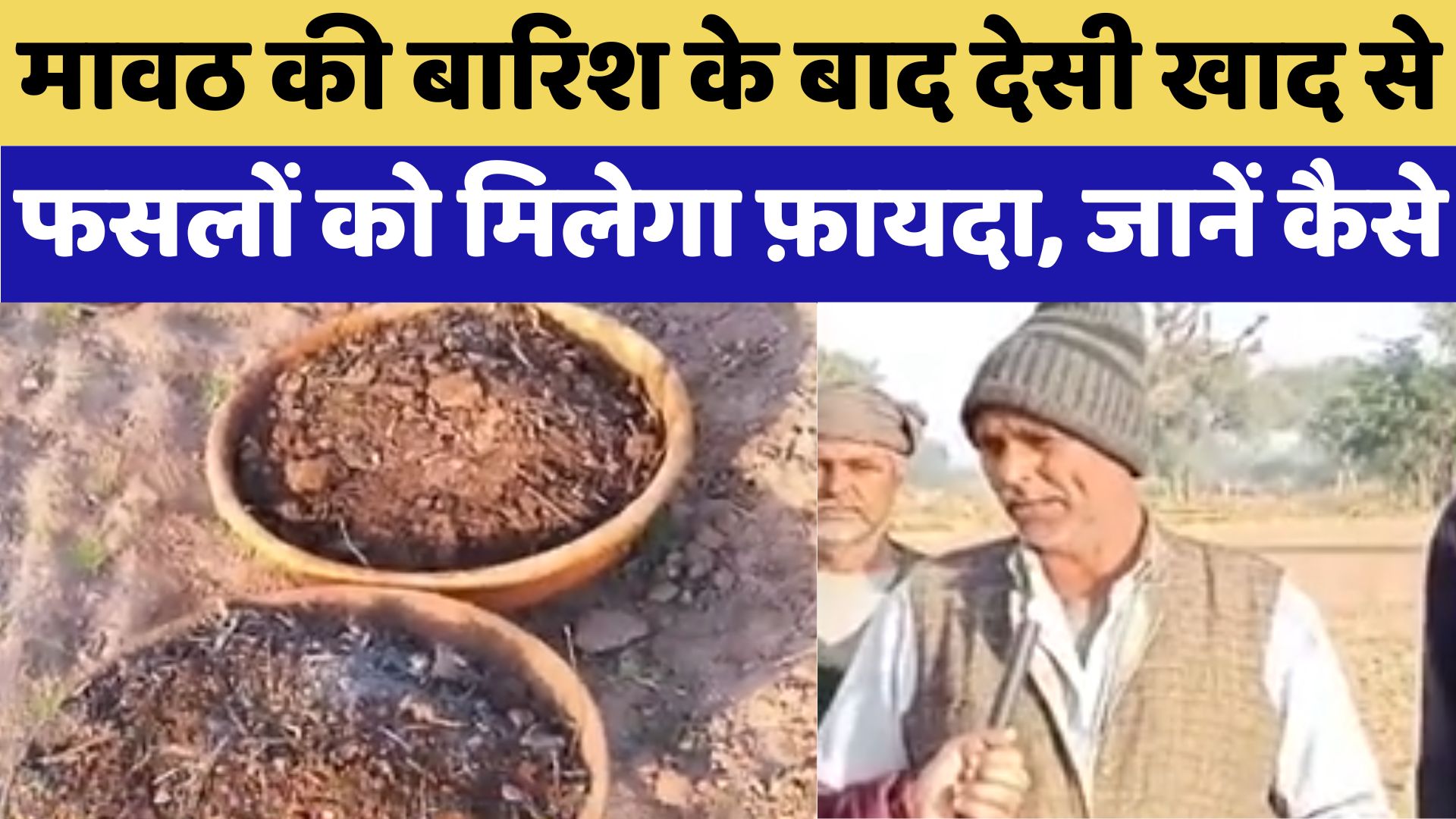 Nagaur News : मावठ की बारिश के बाद देसी खाद से फसलों को मिलेगा फ़ायदा, जानें कैसे