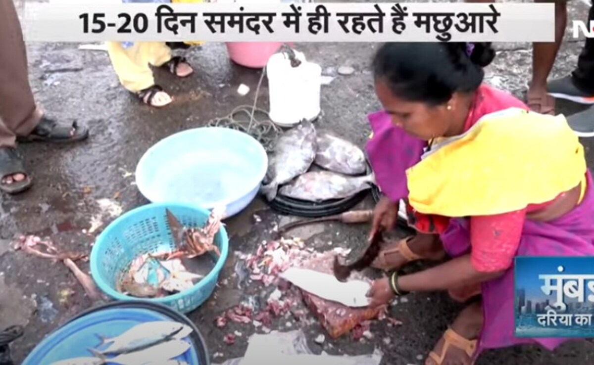 Latest and Breaking News on NDTV Latest and Breaking News on NDTV