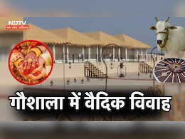 ग्वालियर में गजब की शादी ! पराली के सोफे पर बैठेंगे दूल्हा-दुल्हन, गोबर से होगी सजावट 