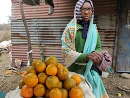 Orange Exports : बांगलादेश निर्यातीचा पर्याय बंद, रस्त्यावर संत्री विकणाऱ्या महिलेने मांडली व्यथा