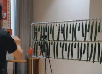 Watch: Forget Knives, This Record-Holder Cuts Cucumbers Using Playing Cards Watch: Forget Knives, This Record-Holder Cuts Cucumbers Using Playing Cards