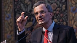 'Stop Being Squeamish About Swadeshi': CEA Flags Supply, Rupee Risks