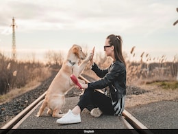 Bring Your Beloved Pet Back To Life: How A UK Clinic Is Using Animal Cloning Bring Your Beloved Pet Back To Life: How A UK Clinic Is Using Animal Cloning