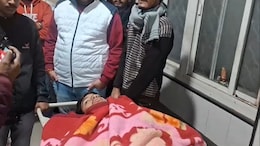 राजस्थान में आवारा पशुओं का आंतक, कोचिंग से लौट रहे छात्र के सीने में घुसाया सींग, टूटी पसलियां