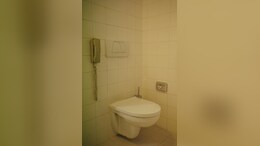 Why A Japanese Maker Is Advising People Not To Wipe Toilet Seat With Toilet Paper