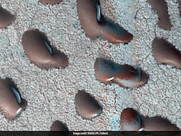 Kidney Bean-Shaped Sand Dunes Spotted On Mars Could Hold Clues To Life Kidney Bean-Shaped Sand Dunes Spotted On Mars Could Hold Clues To Life