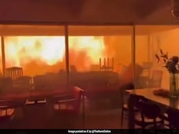 "Gonna Be Okay": Man, Trapped In Los Angeles Wildfire, Tells His Dog "Gonna Be Okay": Man, Trapped In Los Angeles Wildfire, Tells His Dog