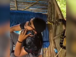 मोबाइल फोन पर बाबू-सोना से बात कर रहा था लड़का, तभी पीछे से फन फैलाए सांप ने कर दिया हमला, देख लोगों के छूटे पसीने