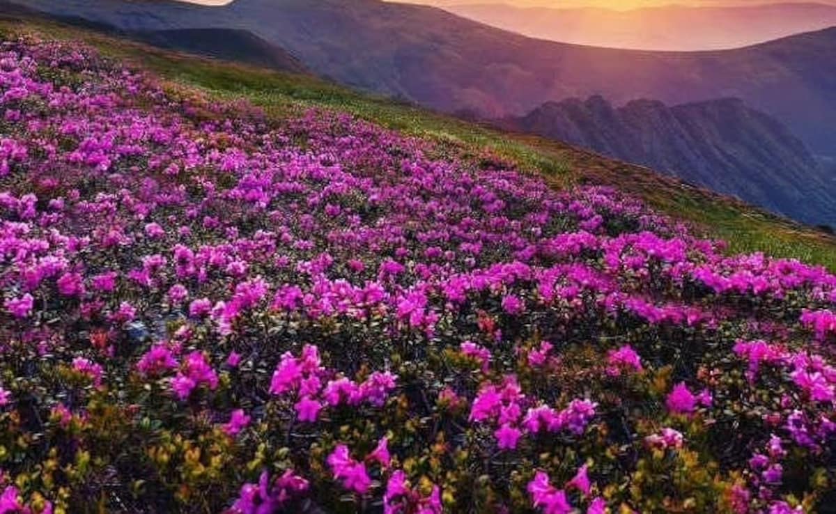 Когато природата се събуди от зимната си дрямка въздухът започва