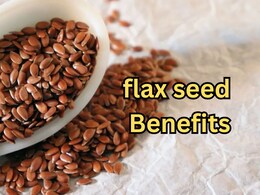Flax Seeds: आइंस्टीन जैसा चाहते हैं दिमाग तो आज ही अपने डेली रूटीन में शामिल करें ये चीजें, मिलेंगे गजब के फायदे