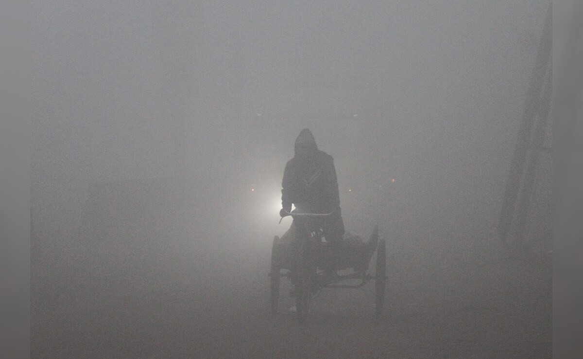 Latest and Breaking News on NDTV Latest and Breaking News on NDTV