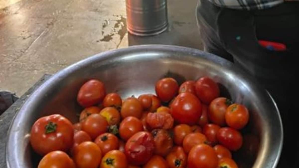 From Chemicals To Rodent Excreta, Hyderabad Restaurant Inspections Find Safety Violations