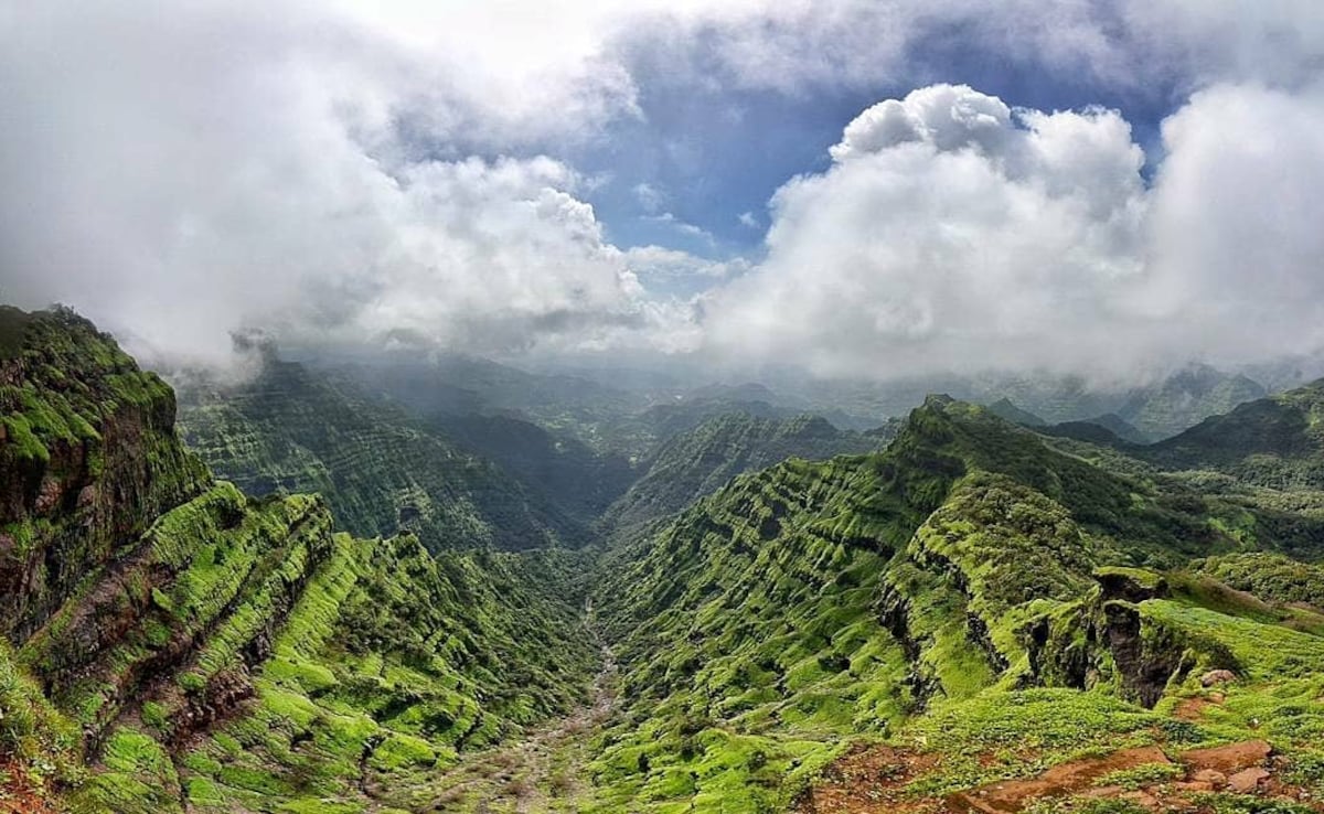 Нека бъдем честни зимните празници се удрят по различен начин