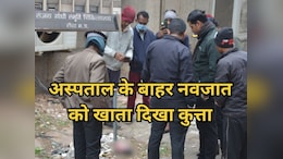 Rewa News: एमपी के इस अस्पताल के परिसर में नवजात को खाते नजर आए कुत्ते, मंजर देख प्रशासन के उड़े होश