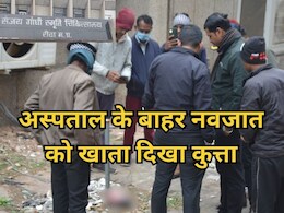 Rewa News: एमपी के इस अस्पताल के परिसर में नवजात को खाते नजर आए कुत्ते, मंजर देख प्रशासन के उड़े होश