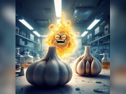 गंदे कोलेस्ट्रॉल का काल है कच्चा लहसुन, जानिए लहसुन खाने का बेस्ट तरीका | Does Garlic Lower Cholesterol?