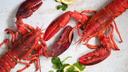 Australian Woman Shocked By Rs 32,867 Bill For Live Lobster At Chinese Restaurant