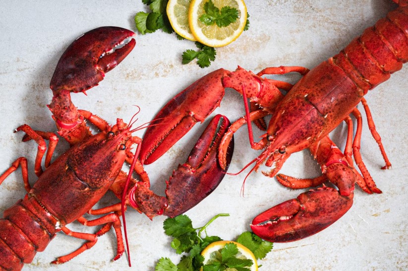 Latest and Breaking News on NDTV Latest and Breaking News on NDTV