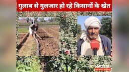 Flower Farming : एक एकड़ में फूलों की खेती कर ये किसान कमा रहे हैं 18 लाख रुपये सालाना, जानिए कैसे करते हैं इतनी कमाई