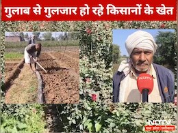 Flower Farming : एक एकड़ में फूलों की खेती कर ये किसान कमा रहे हैं 18 लाख रुपये सालाना, जानिए कैसे करते हैं इतनी कमाई