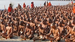 Prayagraj Mahakumbh 2025: महाकुंभ में 15 सौ ज&zwj;िंदा लोगों ने खुद का क&zwj;िया पिंडदान, गंगा में 108 डुबकी लगाई; आज मह&zwj;िलाएं बनेंगी नागा&nbsp;