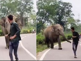जानवर को पहचानिए... गुस्साए हाथी ने शख्स पर कर दिया हमला, IFS अधिकारी ने Video शेयर कर दी ये चेतावनी जानवर को पहचानिए... गुस्साए हाथी ने शख्स पर कर दिया हमला, IFS अधिकारी ने Video शेयर कर दी ये चेतावनी