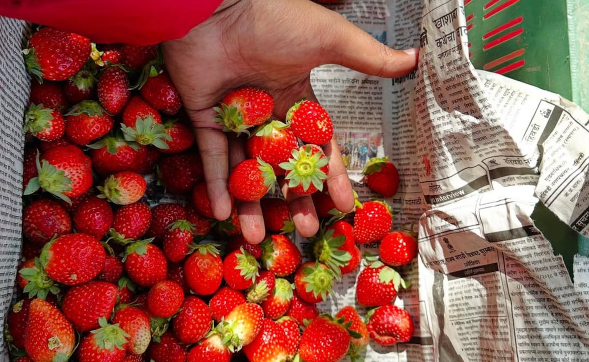 This Is Why You Should Have Strawberries With Dark Chocolate During Menstruation