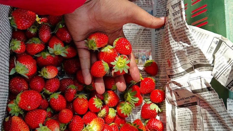 This Is Why You Should Have Strawberries With Dark Chocolate During Menstruation