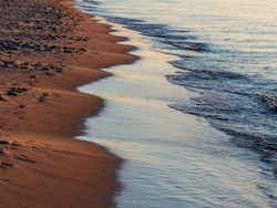Tourism Deal Puts One Of Egypt&#039;s Last Wild Shores At Risk