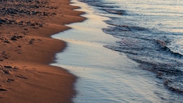 Argument Over Chair Arrangement At Goa Beach Leads To Murder, 1 Arrested