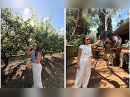 Take Ideas From Neha Dhupia And Enjoy These 5 Activities In Melbourne