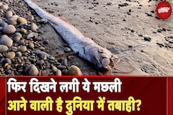 Oarfish: Mexico में आने वाली है तबाही! समुद्र से निकली मछली लाई क्या संदेश? | NDTV India Oarfish: Mexico में आने वाली है तबाही! समुद्र से निकली मछली लाई क्या संदेश? | NDTV India
