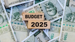 Budget 2025: What Changes Do Economists Suggest For Salaried Taxpayers